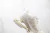 Imagen de Balenciaga X-Pander 'White'