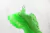 Imagen de BALENCIAGA TRIPLE S DADSHOE FLUORESCENT GREEN
