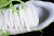 Off-White Virgil Abloh - Out Of Office Stitches Apple Green - comprar online