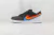 Polaroid x Dunk Low SB