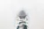 Converse Chuck Taylor All Star en internet