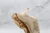 BALENCIAGA Triple S Creampie - comprar online