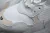 BALENCIAGA TRIPLE S SHOE WHITE/WHITE en internet