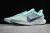 ZOOM PEGASUS TURBO 2.0 - "Silver/Green" - comprar online