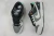 Dunk Low SB 'Camcorder' en internet