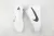 KD 13 TB 'White' en internet