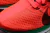 ZOOM PEGASUS 35 TURBO - "Red Orbit" en internet