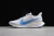 ZOOM PEGASUS TURBO 2.0 - "WHITE/BLUE