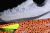 Nike Air Zoom Alphafly Next% 3 Electric Pack Olympic Safari - DAIKAN