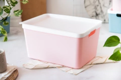 CANASTO ORGANIZ. PLAST C/TAPA 34X25,5X18,5 ROSA en internet