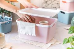 CANASTO ORGANIZ. PLAST C/TAPA 30X22X16CM ROSA - comprar online