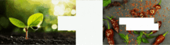 Banner de la categoría Nivel 5+