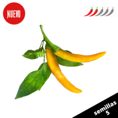 Yellow Thai