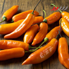 Aji Amarillo
