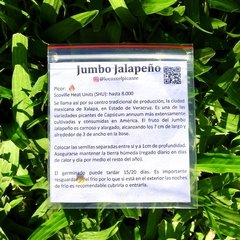 Semillas Ají Chile Picante, Jumbo Jalapeño, tu huerta picante en Argentina año 2020