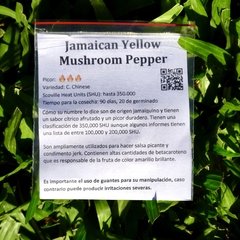 Semillas Ají Chile Picante, Jamaican Yellow Mushroom, tu huerta picante en Argentina año 2020