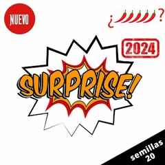 Mix Sorpresa - comprar online