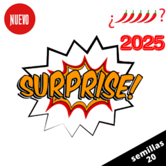 Mix Sorpresa