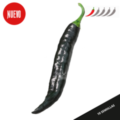 Pasilla Bajio /Chilaca - comprar online