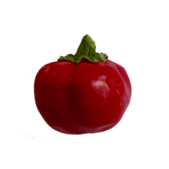 Semillas Ají Chile Picante, Bacio di Satanas, Beso de Satanás, tu huerta picante en Argentina año 2020