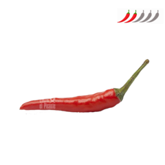 Tabasco