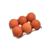 Huevos x 12 unidades