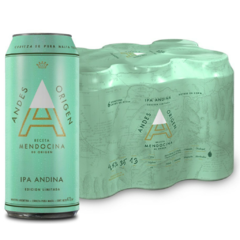 Cerveza Andes Ipa Pack x 6 u