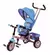 TRICICLO BIEMME COMFORT 582 AZUL - comprar online
