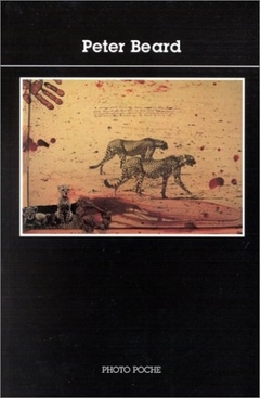 PETER BEARD