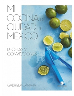 MI COCINA DE CIUDAD DE MEXICO