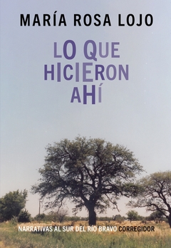 LO QUE HICIERON AHI