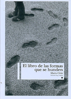 LIBRO DE LAS FORMAS QUE SE HUNDEN, EL