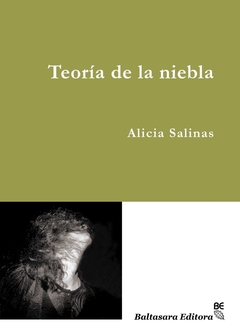 TEORIA DE LA NIEBLA