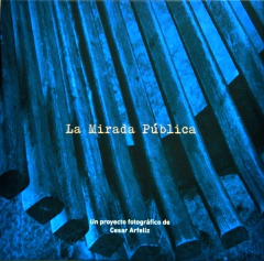 MIRADA PUBLICA, LA