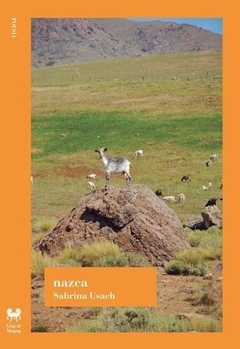 NAZCA