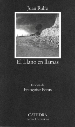LLANO EN LLAMAS, EL