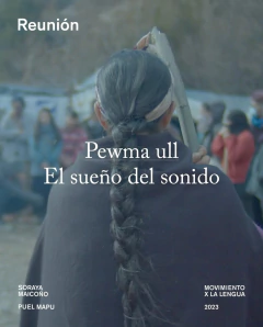 PEWMA ULL. EL SUEÑO DEL SONIDO