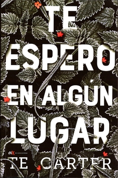 TE ESPERO EN ALGUN LUGAR