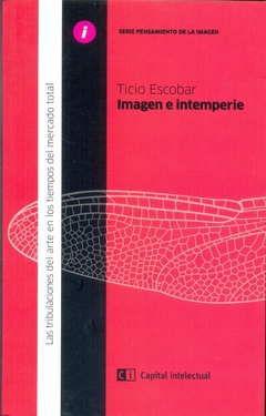IMAGEN E INTEMPERIE