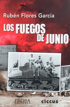 FUEGOS DE JUNIO LOS