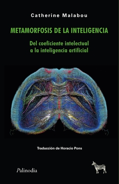 METAMORFOSIS DE LA INTELIGENCIA