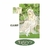 CHOBITS # 05