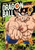 DRAGON BALL COLOR: SAGA SAIYAJIN # 03