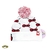 GORRO HELLO KITTY POMPON