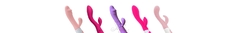 Banner de la categoría RABBITS