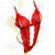 BODY AFRODITA - JOSE MI - comprar online