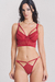 E2055 Conjunto en internet