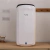 Secamanos Electrico Vertical Automatico Aproximacio White en internet