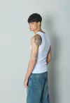 MUSCULOSA DORSET