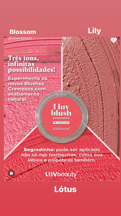 BLUSH CREMOSO - LUV BEAUTY - comprar online